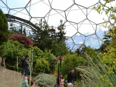 The Eden Project